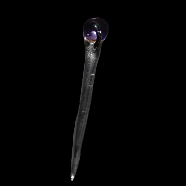 dabber in vetro sorcier